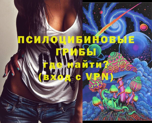 крисы Абдулино