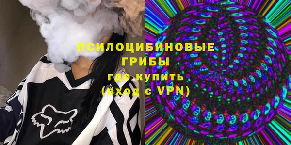 а пвп мука Абаза