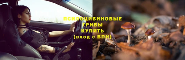 трава Абинск