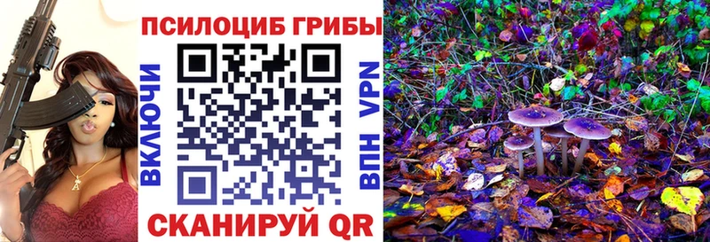 Галлюциногенные грибы Psilocybe  где продают   darknet какой сайт  Плавск 